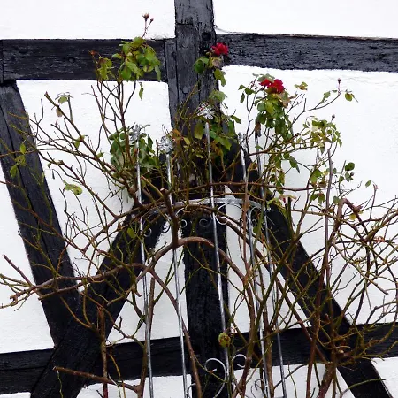 Relaxen Am Rosenbusch アパート *